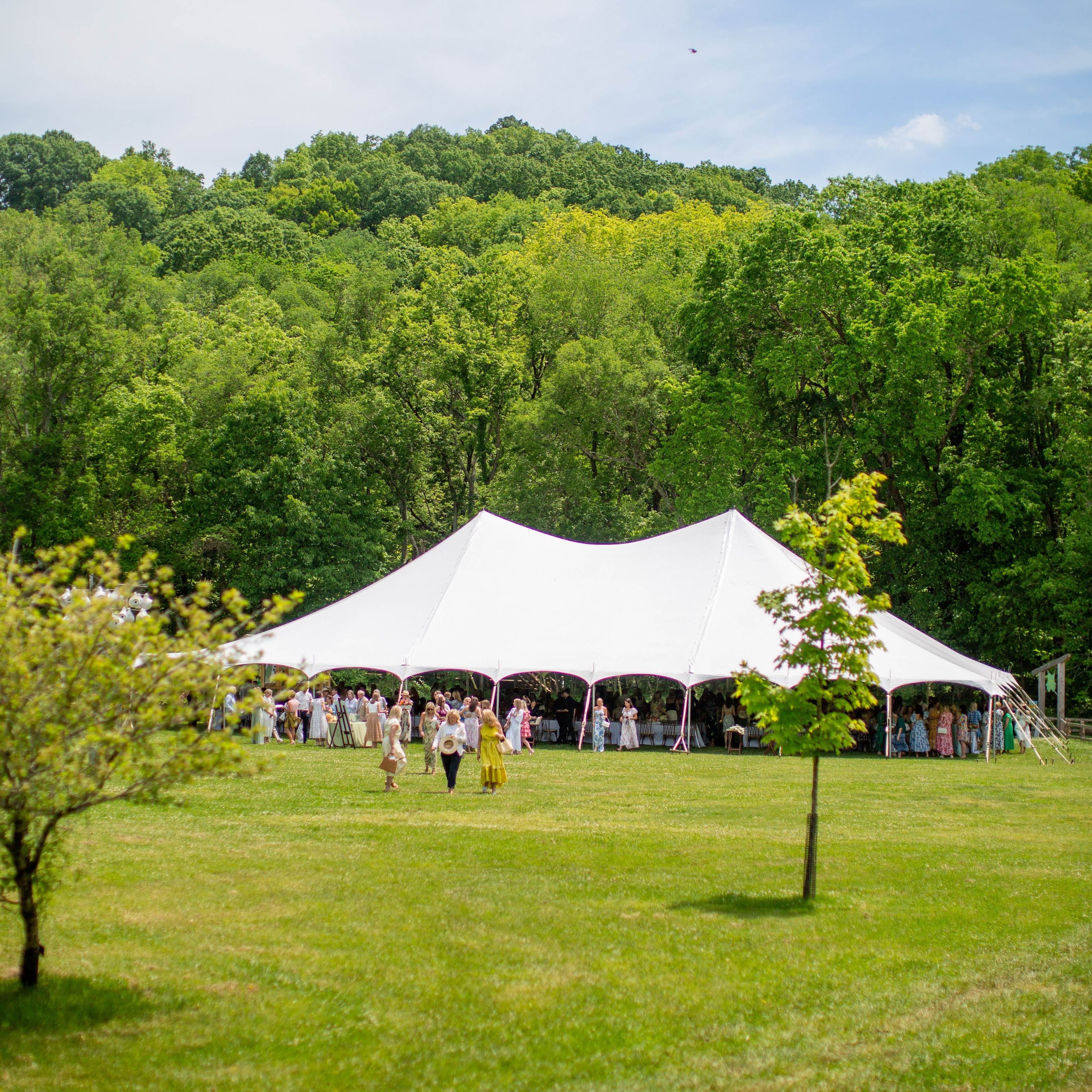 Spring Luncheon Raffle - logo